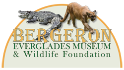 Bergeron Everglades Museum & Wildlife Foundation