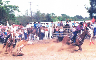Ron Bergeron Roping with Freddy Gomez. Hollywood Rodeo, 1990