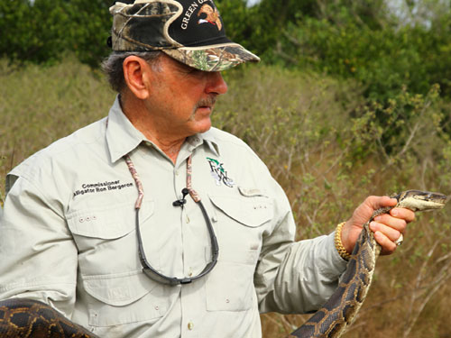 15-Foot Snake Among 106 Captured in Florida Python Challenge