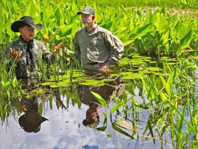 Two men chest deep in swamp water