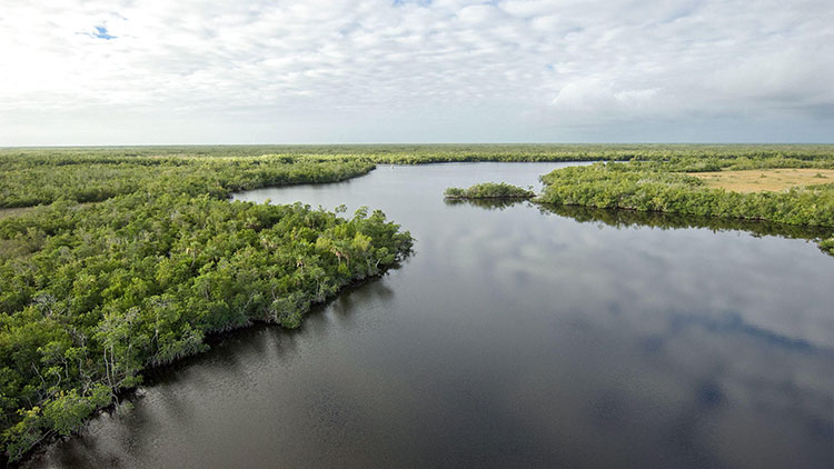 Florida Governor Hopeful DeSantis Tours Everglades, Talks Environment