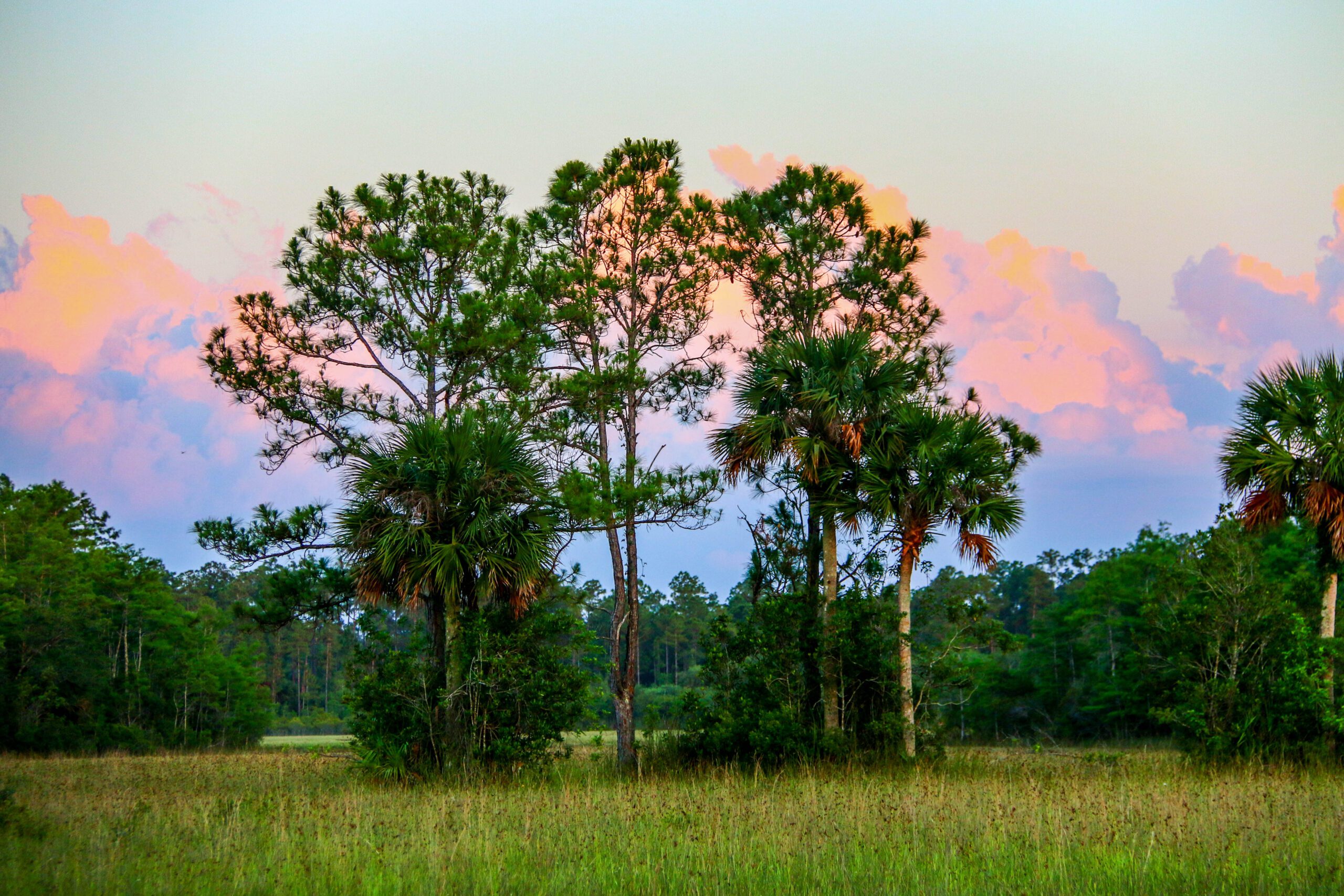 $100M project to bring more water to Everglades