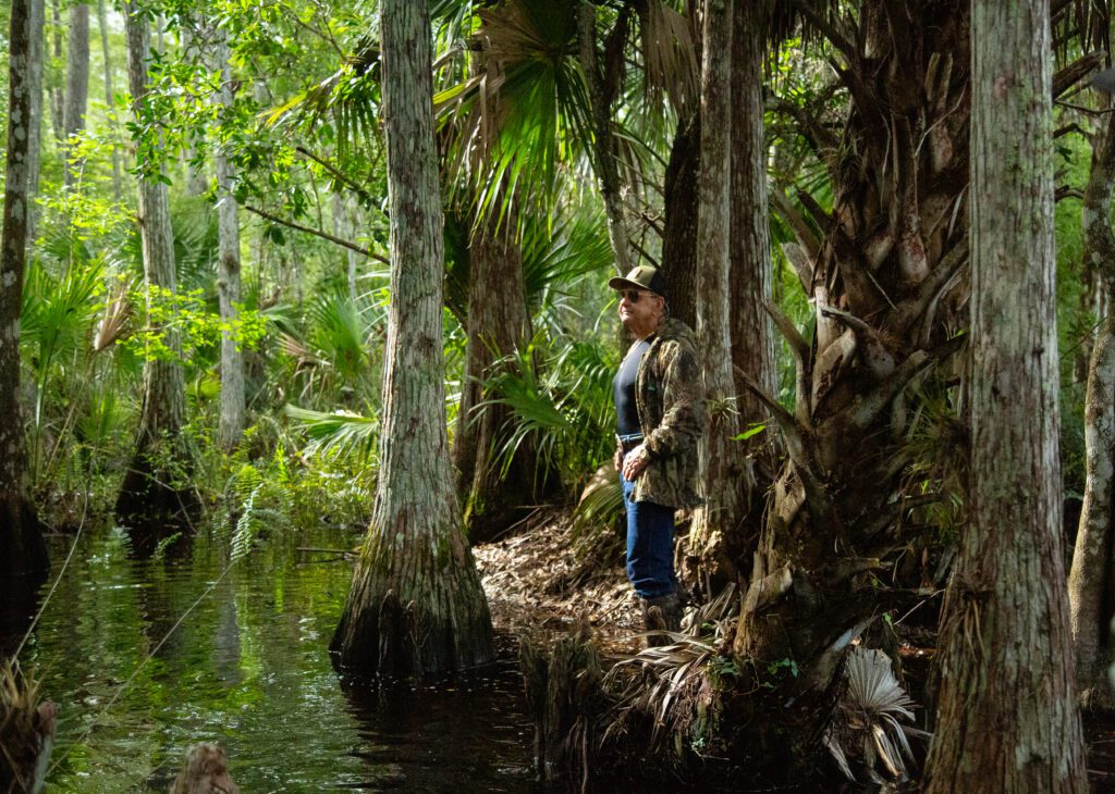 Ron Bergeron Everglades