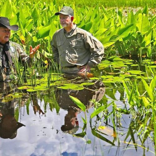 Ron Bergeron: From Seagrass to Sawgrass – It’s All Important