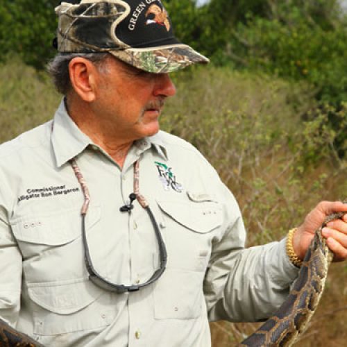 15-Foot Snake Among 106 Captured in Florida Python Challenge