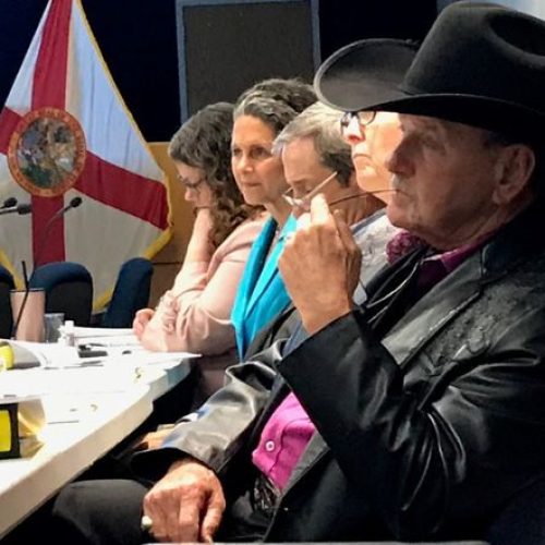 South Florida Water Management District board members including Jacqui Thurlow-Lippisch of Sewall's Point, second from left in blue, and Ron Bergeron of western Broward County, in cowboy hat, listen to a presentation Wednesday, May 8, 2019, during a board workshop on water quality. (Photo: Treadway, Tyler)