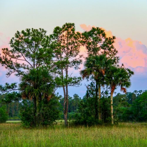 $100M project to bring more water to Everglades