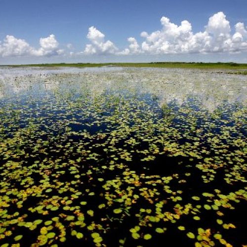 Stand-Off Between Indian Tribes and Army Engineers Threatening To Derail Everglades Restoration Work