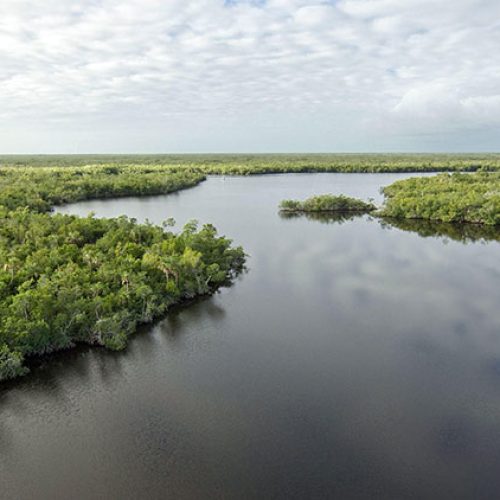 Florida Governor Hopeful DeSantis Tours Everglades, Talks Environment