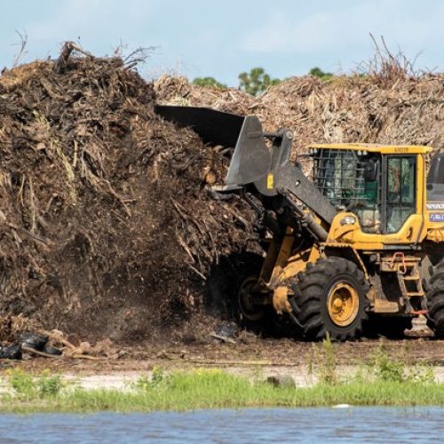 Firms that got $31.7M to clear Hurricane Irma debris ready for 2018