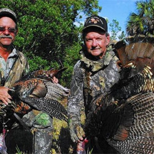 Tips for Spring Turkey Season